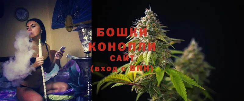 Шишки марихуана THC 21%  закладка  Белогорск 